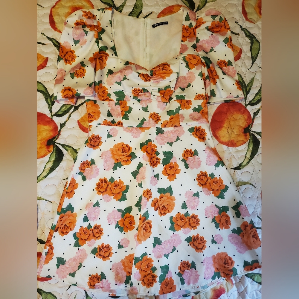Zara Floral Puff Sleeve Dress sz M